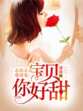 总裁老公夜夜宠:宝贝你好甜