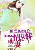 旧爱新婚:Boss情劫娇萌妻