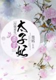 涅槃重生:杀手太子妃