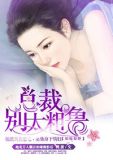 如痴如醉:总裁,别太粗鲁