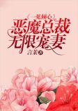 一见倾心:恶魔总裁无限宠妻