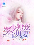 岑少独宠宝贝妻