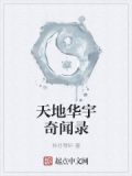 天地华宇奇闻录