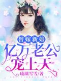 替嫁新娘:亿万老公宠上天夏夕绾陆寒霆
