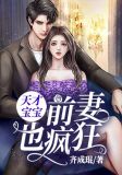 天才宝宝:前妻也疯狂