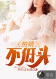 赘婿不低头
