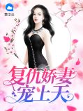 复仇娇妻宠上天穆槿秋司晟佑