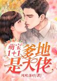 萌宝1+1，爹地是大佬