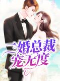 二婚总裁宠无度穆安然韩以晨