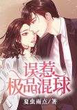 误惹极品混球