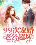 99次宠婚:老公,超坏!