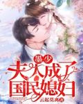 墨少,夫人成了国民媳妇