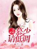 一欢成瘾:慕少,请低调