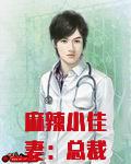 麻辣小佳妻:总裁请宽衣