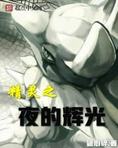 精灵之夜的辉光(精灵之辉夜黎明)