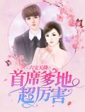 六宝天降:首席爹地超厉害