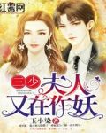 三少,夫人又在作妖