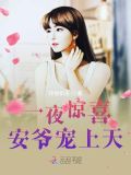 一夜惊喜,安爷宠上天
