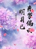 明月已东梦偏西