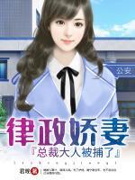 律政娇妻:总裁大人被捕了