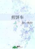 煎饼车
