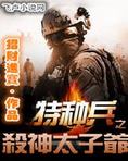 特种兵之杀神太子爷