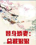 替身娇妻:总裁狠狠爱