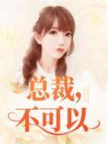 总裁,不可以