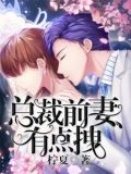 总裁,前妻有点拽