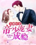 先婚厚爱:帝少宠妻成瘾