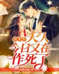 沈先生,夫人今日又在作死了