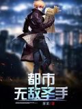 都市无敌圣手
