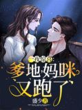 一夜惊喜:爹地,妈咪又跑了