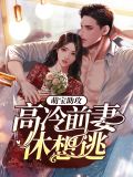 萌宝助攻:高冷前妻休想逃林向晚傅靳言
