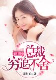 豪门隐婚:总裁穷追不舍
