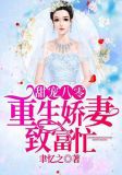 甜宠八零,重生娇妻致富忙