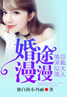 婚途漫漫:总裁大人情深似海