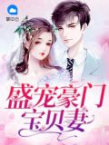 盛宠豪门宝贝妻