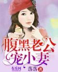 腹黑老公宠小妻