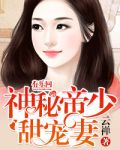 神秘帝少甜宠妻