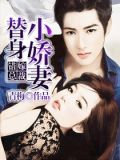 错嫁总裁:替身小娇妻
