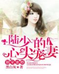 独家蜜婚:陆少的心尖宠妻