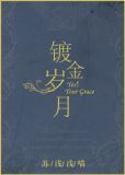 镀金岁月