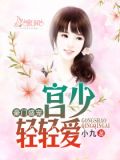 豪门盛宠:宫少轻轻爱
