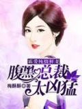霸爱纯情鲜妻:腹黑总裁太凶猛