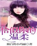 恰似你的温柔