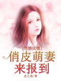 借婚试情:高冷首席宠上瘾