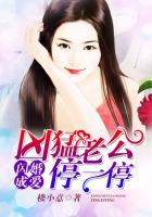 闪婚成爱:凶猛老公停一停