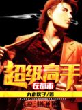 超级高手在都市1