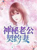 神秘老公契约妻龙门不凡